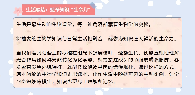 screenshot-1753152234005.png