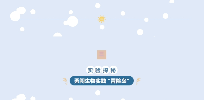 screenshot-1753152300493.png