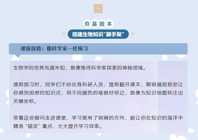 screenshot-1753152147499.png