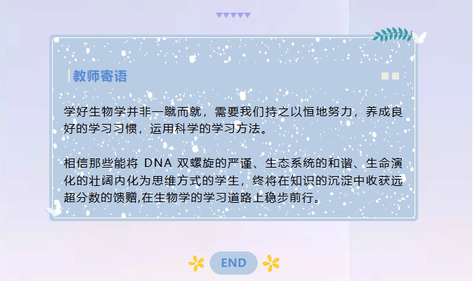 screenshot-1753154111369.png