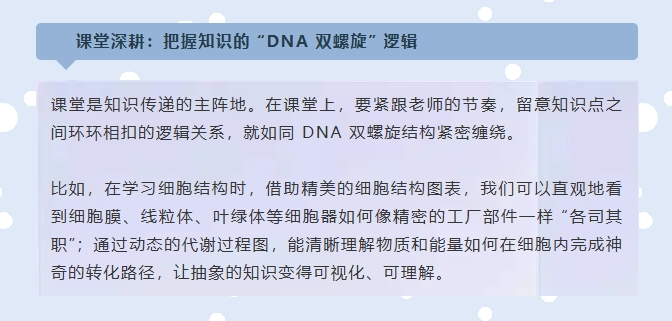screenshot-1753151950631.png